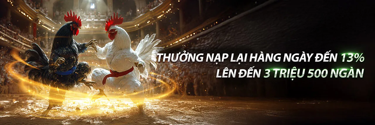 Đá gà Thomo trực tiếp hôm nay 999 - Sân đấu bùng nổ